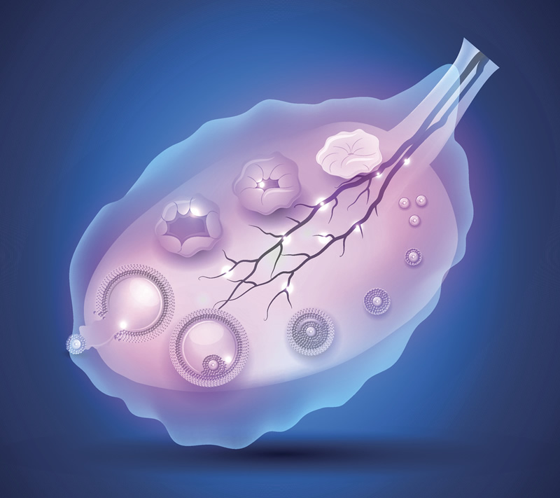 2026年美国三代试管助孕公司网上咨询方式,美国试管3代市场报价！